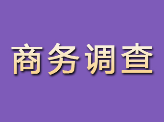 海沧商务调查